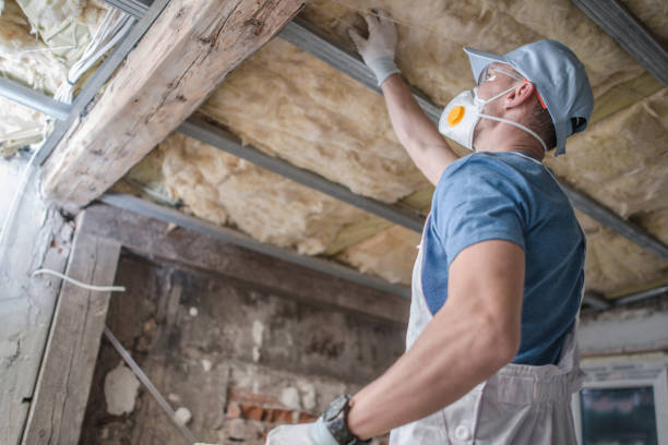 Best Geographic-Specific Insulation Services in Absecon, NJ