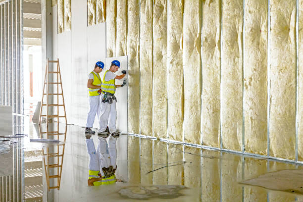 Best Eco-Friendly Insulation in Absecon, NJ